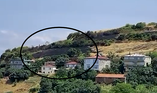 Örtü yangını büyümeden söndürüldü