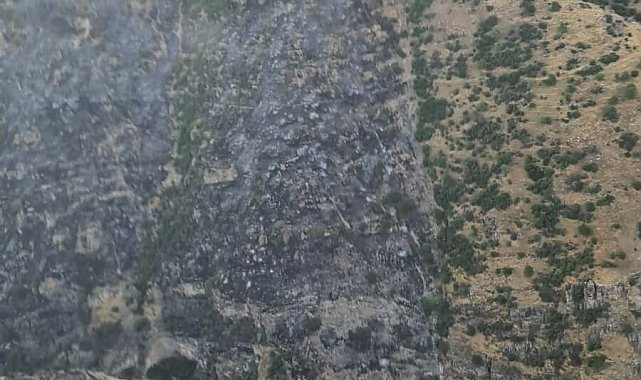 Pamukkale'de orman yangını kontrol altına alındı