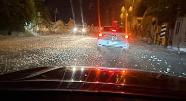 Sakarya'da milyonlarca kelebeğin ölüm dansı