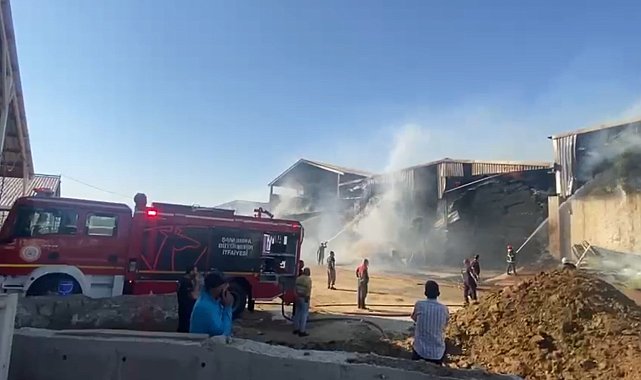 Şanlıurfa'da hayvan çiftliğinde yangın