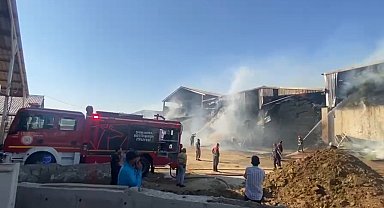 Şanlıurfa'da hayvan çiftliğinde yangın