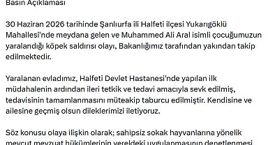 Şanlıurfa'da Muhammed'in yaralandığı köpek saldırısına ilişkin mülkiye müfettişi görevlendirildi