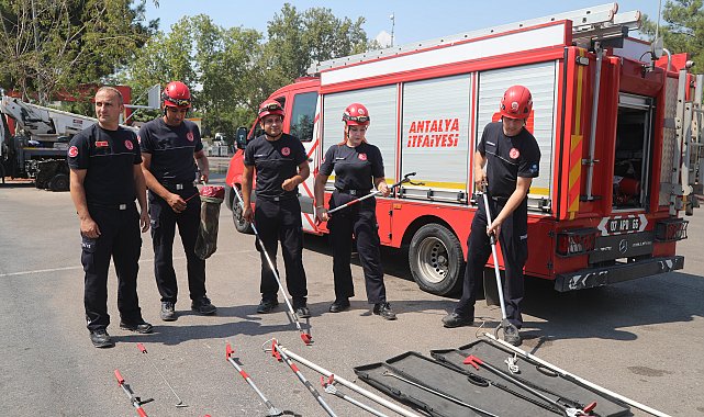 Sıcaklıklar yükseldi, yılan ihbarları arttı