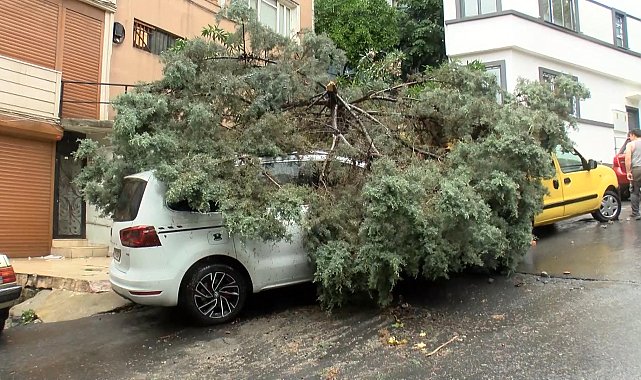 Şişli'de sağanak; 2 ağaç otomobilin üzerine devrildi-1