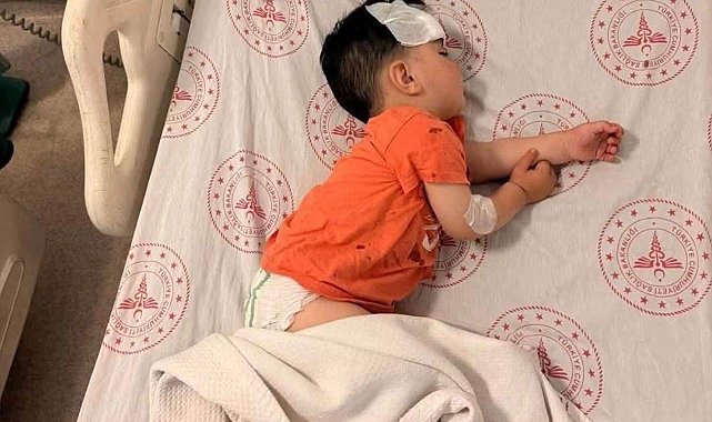 Sokak köpeğinin saldırdığı çocuk yaralandı