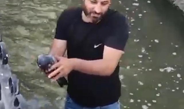 Su kanalına düşen yaralı güvercini kurtarıp, 'Boncuk' ismini verdi