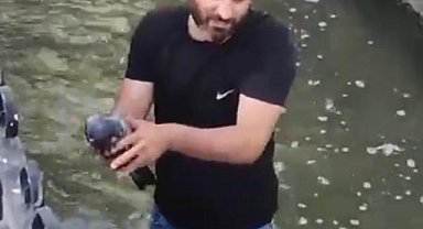 Su kanalına düşen yaralı güvercini kurtarıp, 'Boncuk' ismini verdi