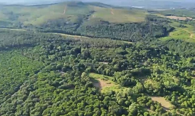 Sultanbeyli'de dron destekli orman denetimi; 513 kişiye 1,9 milyon lira ceza