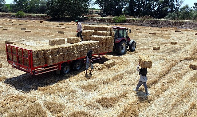 Tekirdağ'da balya bağlama ile açık alanda ateş yakılması yasaklandı