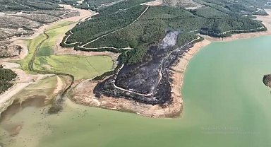 Tekirdağ'da yangında 80 dekar orman zarar gördü
