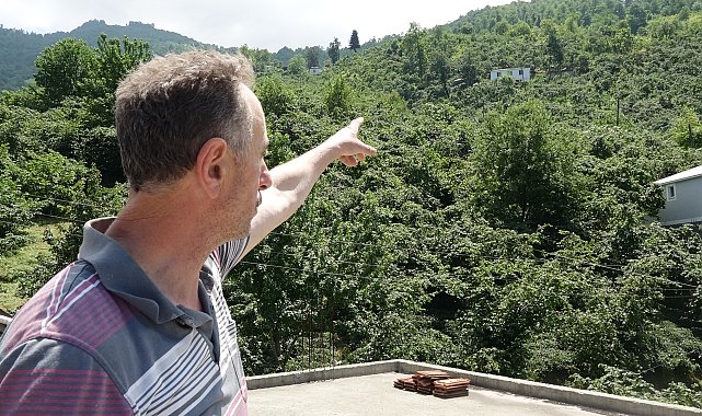 Trabzon'da ağaca çarpıp düşen İHA inceleniyor