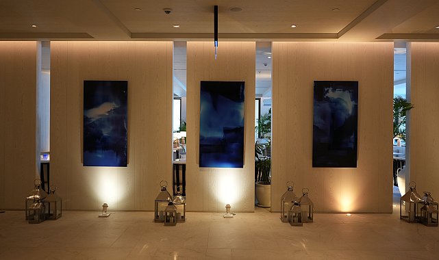 VISION Art Platform ve The Bodrum EDITION'dan çağdaş sanat alanında iş birliği