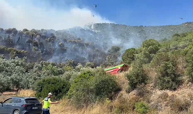 Yalova'da orman yangını