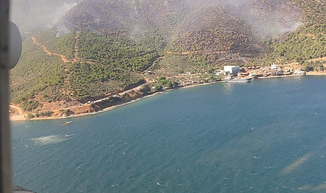Yalova'da orman yangını