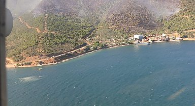 Yalova'da orman yangını