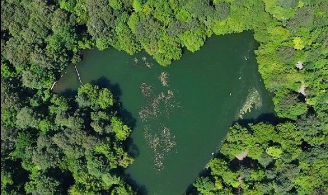 Yedigöller'in eşsiz doğası dronla görüntülendi
