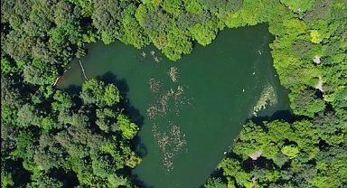 Yedigöller'in eşsiz doğası dronla görüntülendi