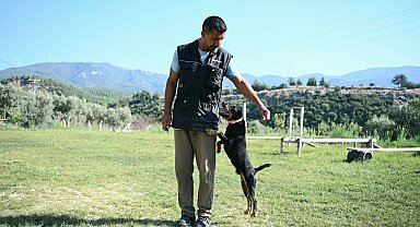 11 yılda yetiştirdiği 4 arama köpeğiyle, sayısız hayat kurtardı