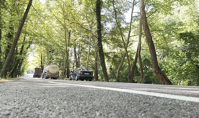 'Ağaç tünel yol'da seyrine doyumsuz manzara