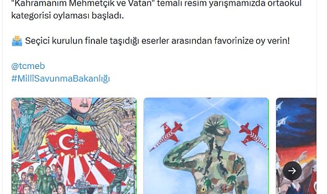 'Kahramanım Mehmetçik ve Vatan' resim yarışması halk oylamasına açıldı