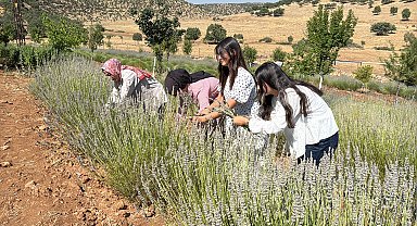 40 yıldır atıl duran arazi, kadınların emeğiyle lavanta bahçesine dönüştü