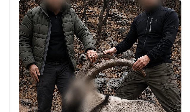 6 yıl önce 5 yaban keçisini yasa dışı avlayan 2 kişiye para cezası