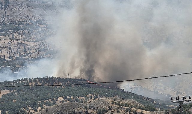 Adıyaman'da orman yangını