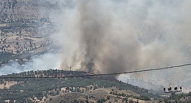 Adıyaman'da orman yangını