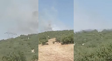 Adıyaman'da orman yangını