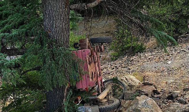 Ağaca çarpan motosikletin sürücüsü öldü