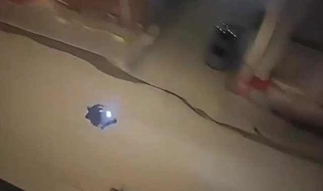 Ağrı'da çevreye rahatsızlık veren motosiklet sürücüsüne 17 bin 719 TL ceza