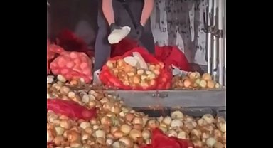 Ankara'da soğan torbaları içinden 150 kilo uyuşturucu ele geçirildi