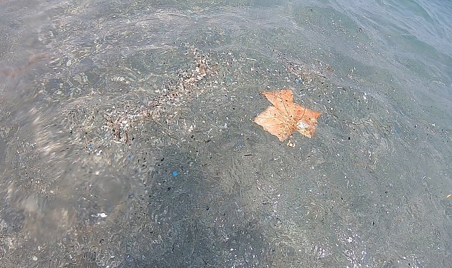 Antalya kıyılarında mikroplastik alarmı; canlıların ölümüne sebep olabiliyor