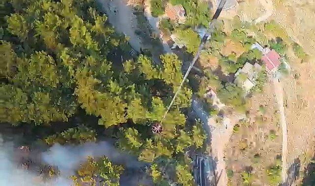 Antalya'nın 2 ilçesinde orman yangını