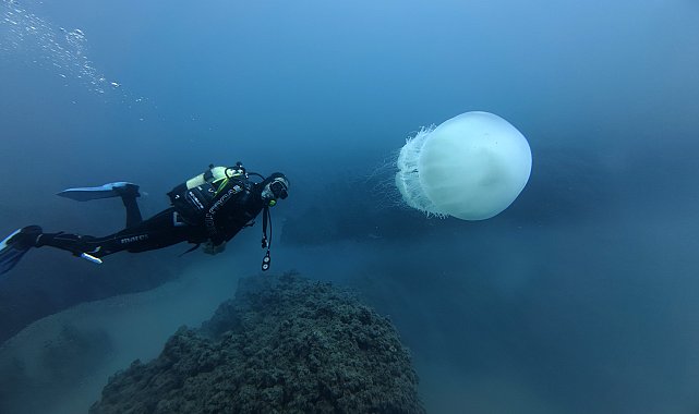 Antalya'nın su altı dünyası, dalış tutkunlarını gözdesi