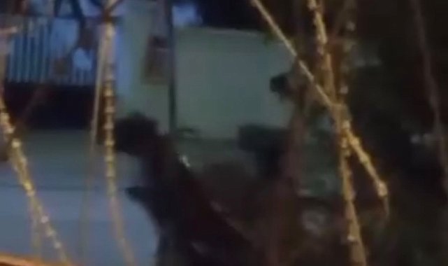 Arnavutköy'de ata şiddet uygulayan şüpheli kamerada