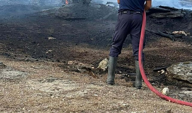 Aydın Çine'de orman yangını