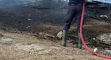 Aydın Çine'de orman yangını