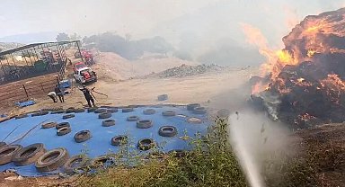 Aydın'da tarım arazisinde yangın