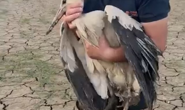 Balçığa saplanan leyleği kurtardı