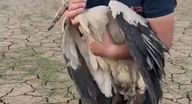 Balçığa saplanan leyleği kurtardı