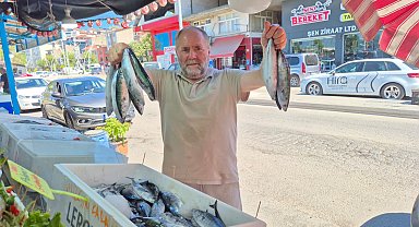Balık tezgahlarında palamut bolluğu