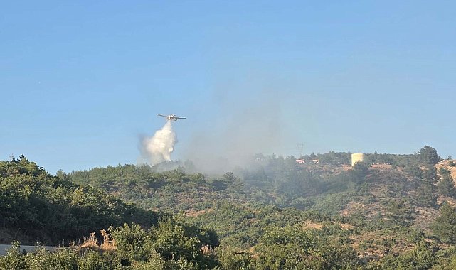 Balıkesir Havran'da maki ve mera yangını kontrol altına alındı