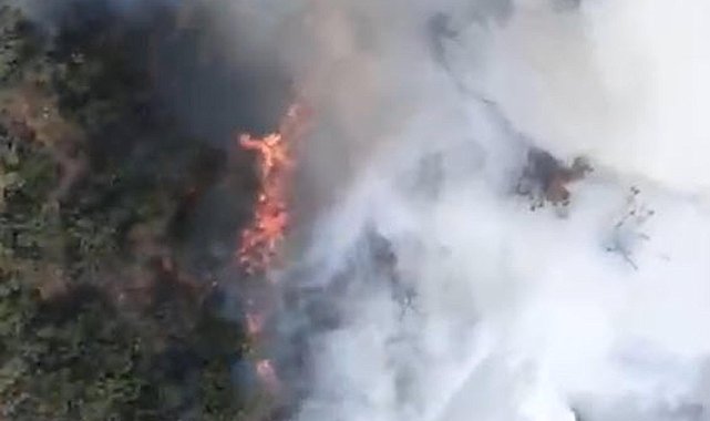 Balıkesir'de kamyondaki yangın ormana sıçradı