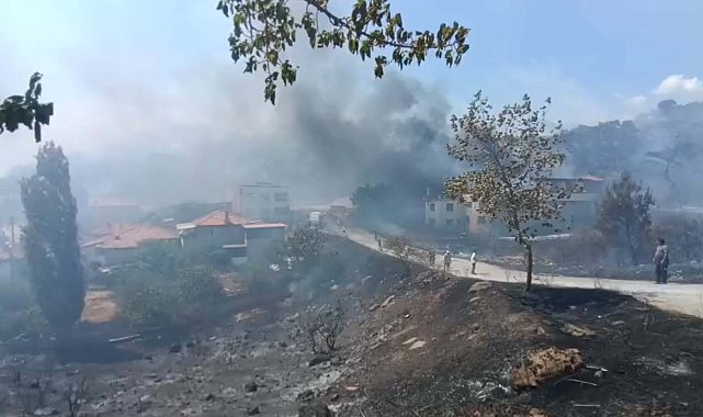 Balıkesir'de orman yangını
