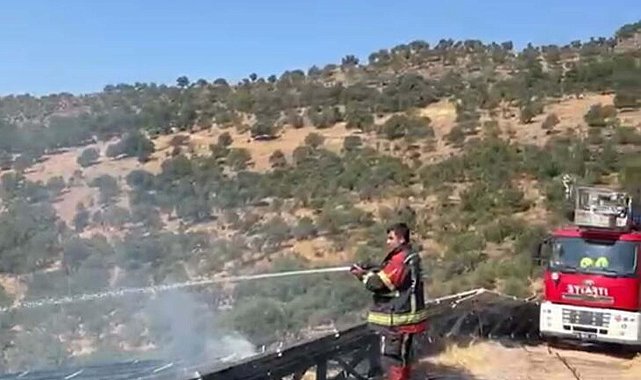 Balıkesir'de ormana sıçrayan yangın 1,5 saatte söndürüldü