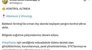 Balıkesir'deki orman yangını 2'nci gününde kontrol altına alındı