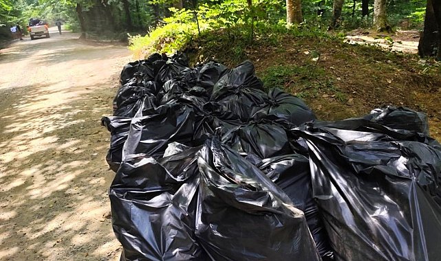 Belgrad Ormanı'nda çevre temizliği