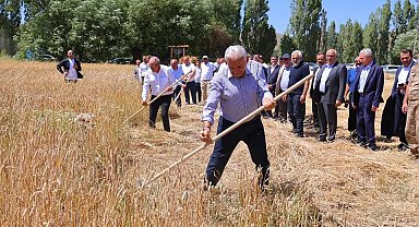 Binali Yıldırım, geleneksel 'Harman Şenliği'nde tırpanla ekin biçti
