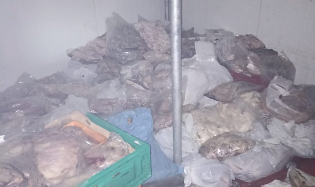 Bodrum'da 400 kilo bozuk ete el konuldu